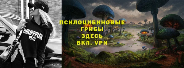тгк Магас