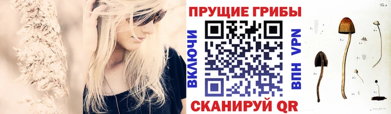 Псилоцибиновые грибы Psilocybine cubensis Малгобек