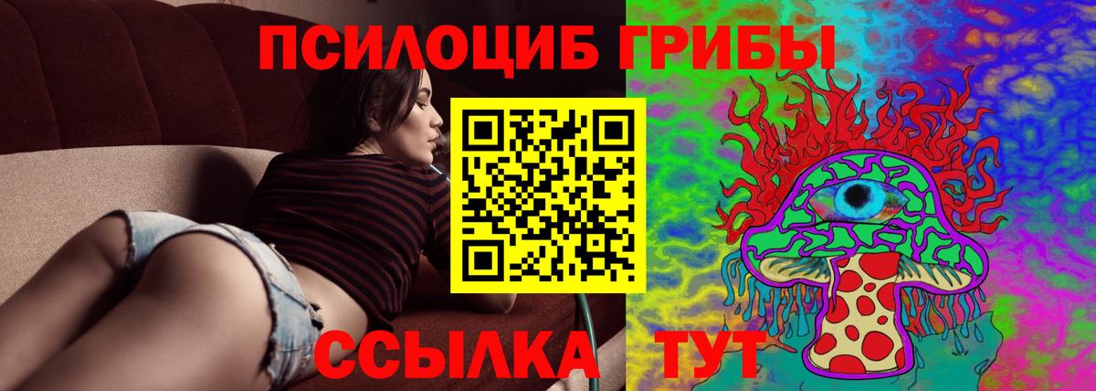 Псилоцибиновые грибы прущие грибы Малгобек
