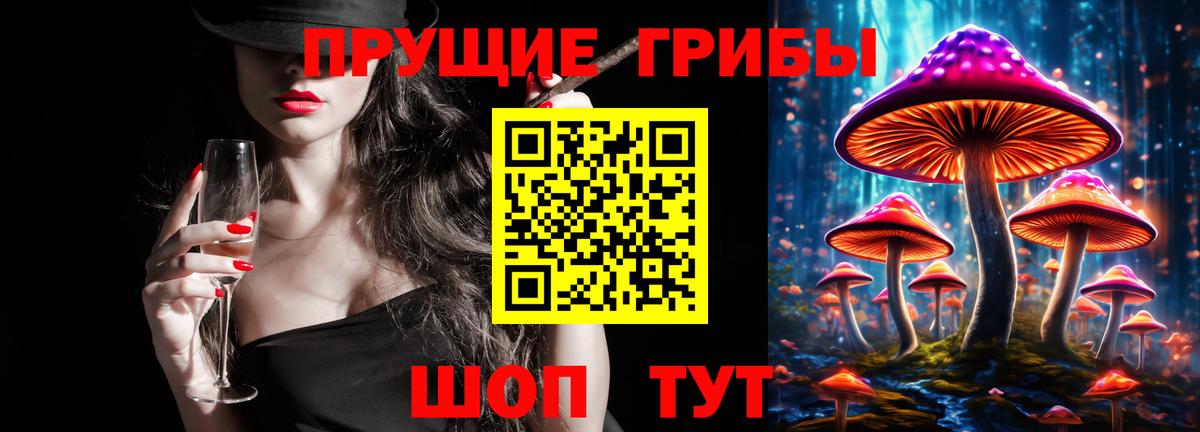 Малгобек  Псилоцибиновые грибы ЛСД  Вход с VPN  Псилоцибиновые грибы мицелий 